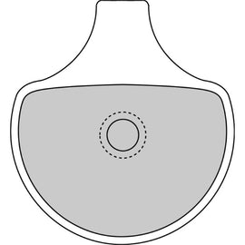 RM225108398 - 225108398 - Pastiglie Freno FDB352P Platinum Road