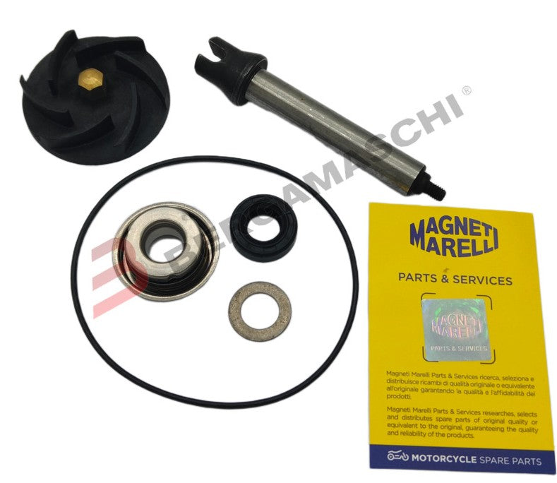 BGMPA0021 - KIT REV POMPA ACQUA BEVERLY400-500 06-08