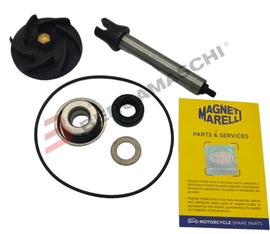 BGMPA0021 - KIT REV POMPA ACQUA BEVERLY400-500 06-08