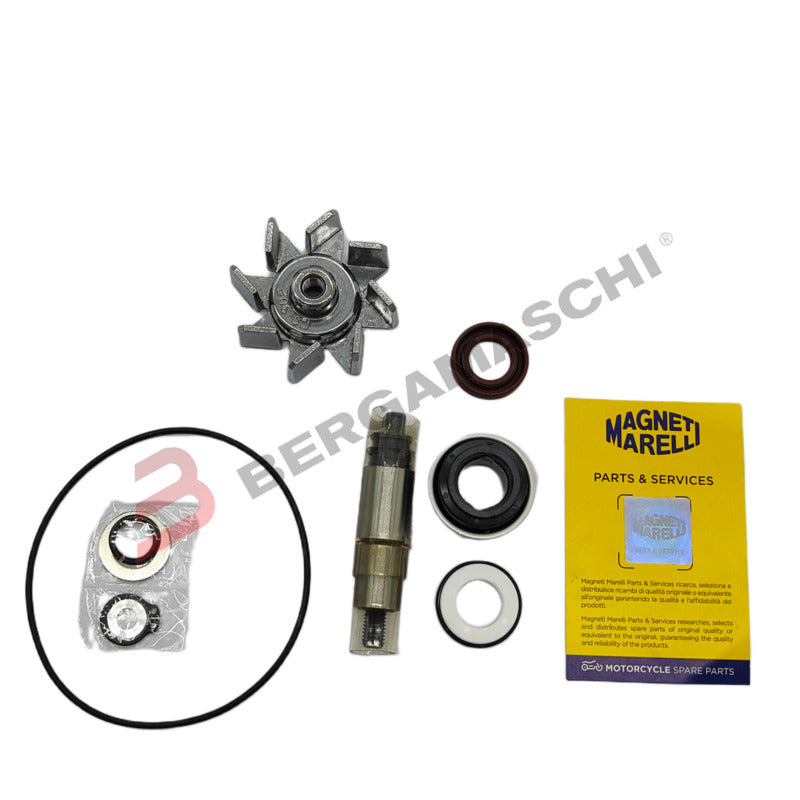 BGMPA0041 - KIT REV.POMPA ACQUA BMW C600/650