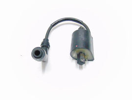 PD00130060 - BOBINA A.T E CAVO CANDELA