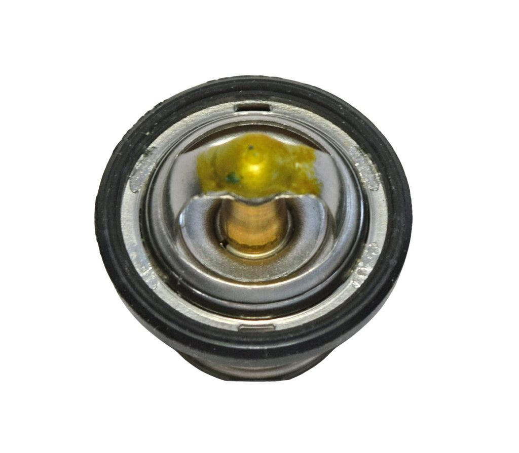 SZ17670-08D10-000 - TERMOSTATO BURGMAN 250-400 98-02
