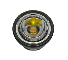 SZ17670-08D10-000 - TERMOSTATO BURGMAN 250-400 98-02