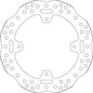SG6536098 - DISCO FRENO SBS 6098