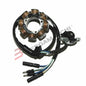 BGV833200119 - STATORE CRF 450 R 02-04