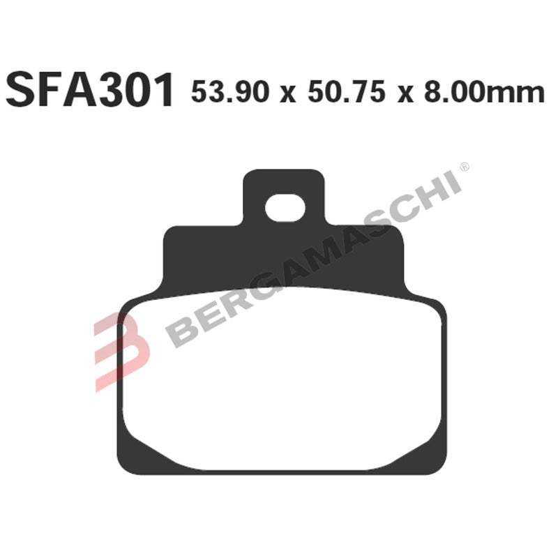 BGR1630100 - R1630100 - PASTIGLIE SFA LEONARDO 125/150 A