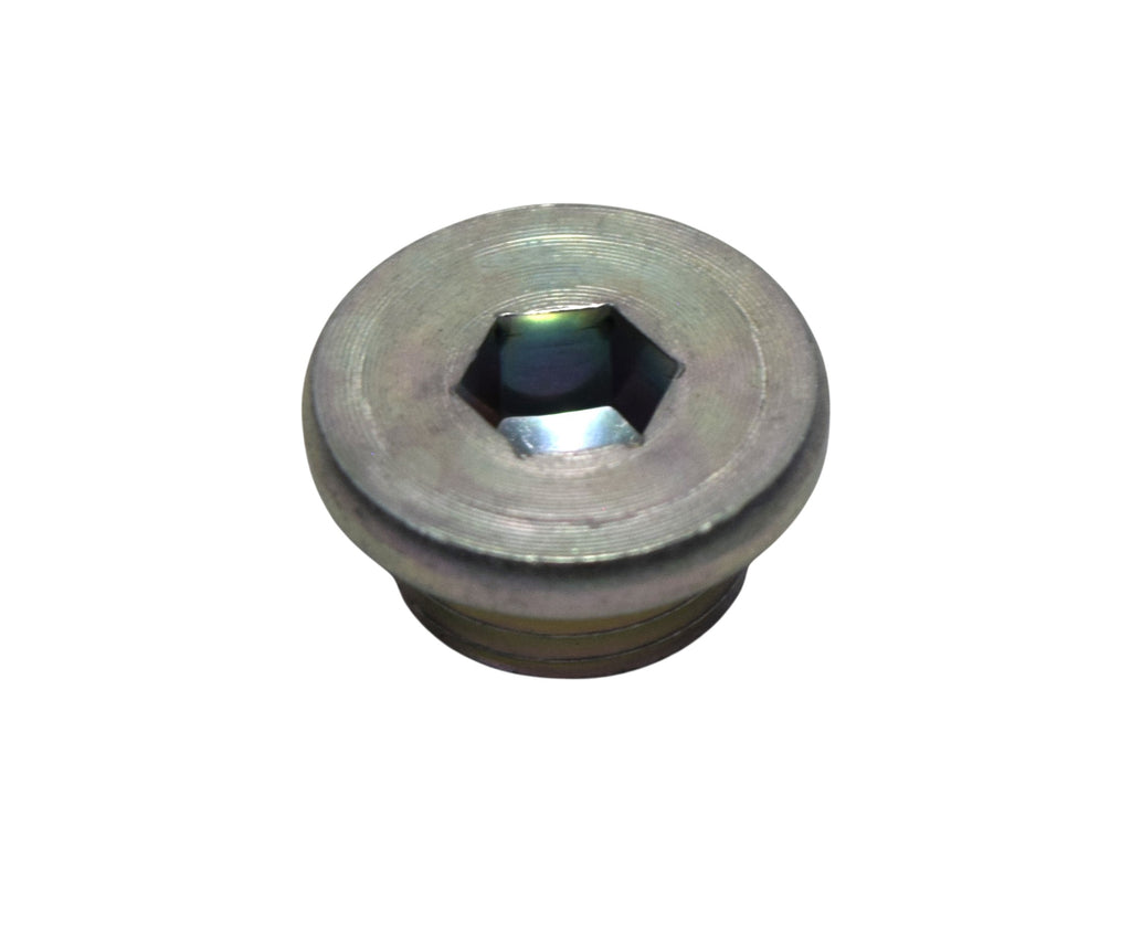 SZ09248-16012-000 - TAPPO OLIO 16X8 BURGMAN 125 02-20