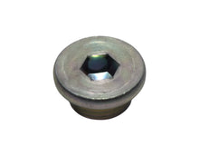 Carica l'immagine nel visualizzatore di Gallery, SZ09248-16012-000 - TAPPO OLIO 16X8 BURGMAN 125 02-20