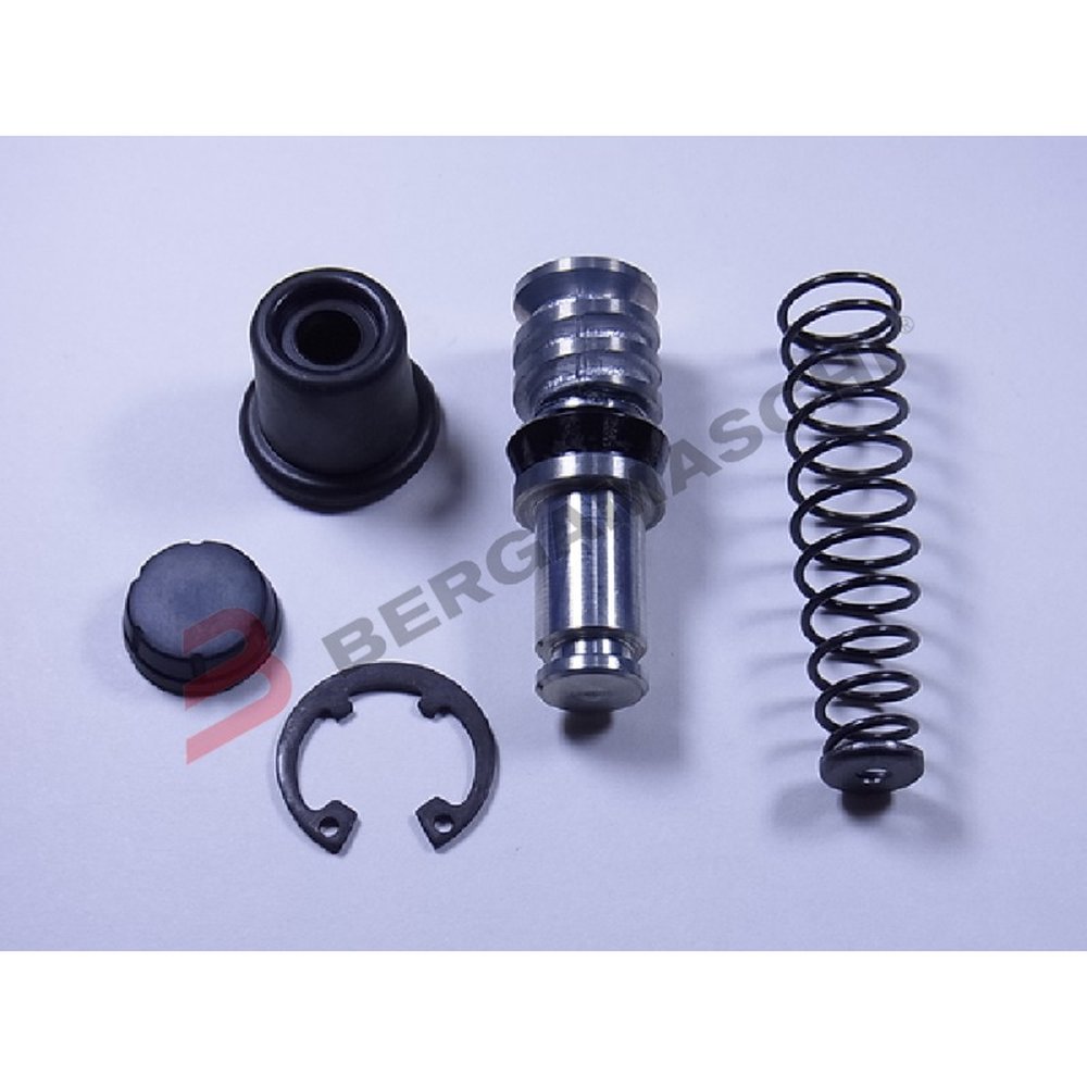BGV839100545 - KIT REV POMPA FRENO ANT FZS 600 98-03