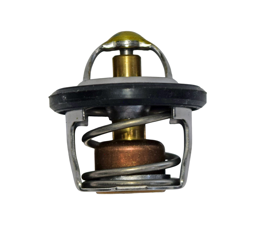 SZ17670-08D10-000 - TERMOSTATO BURGMAN 250-400 98-02