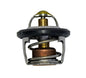 SZ17670-08D10-000 - TERMOSTATO BURGMAN 250-400 98-02