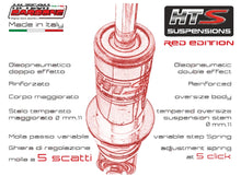 Carica l'immagine nel visualizzatore di Gallery, CI18401-RR - AMM ANT HI-TECH CARBONE V.50-125ET3 ROSS