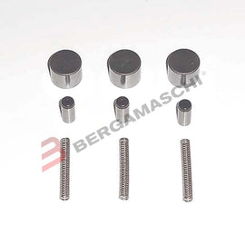 BGV839601617 - KIT REV RUOTA LIBERA XV 535 VIRAGO 88-99