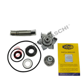 BGMPA0026 - KIT REV POMPA ACQUA T-MAX 500 04-11