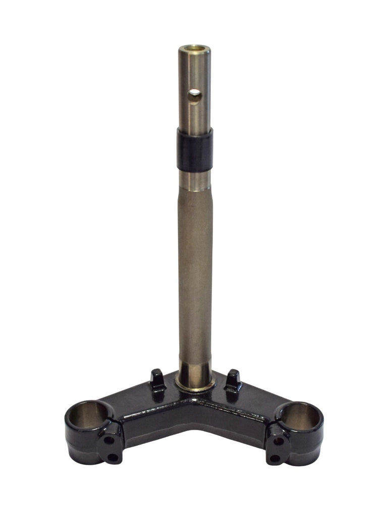 PD00154568 - PIASTRA FORCELLA AGILITY S 125 I 24-25