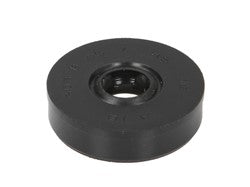 PARAOLIO ALBERO MOT 8X25X7 VTR 1000