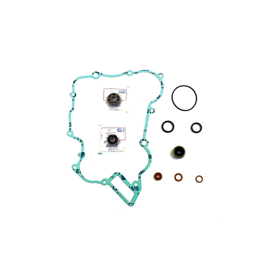 KIT REV POMPA ACQUA C/GUAR EXC 125 9899