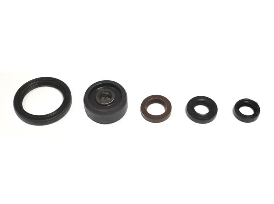 SERIE PARAOLI MOTORE WR X-R 250 08-17