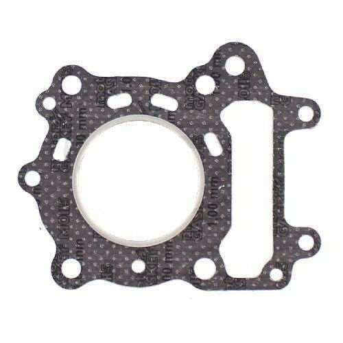 GUARNIZIONE TESTA SCARABEO ROTAX