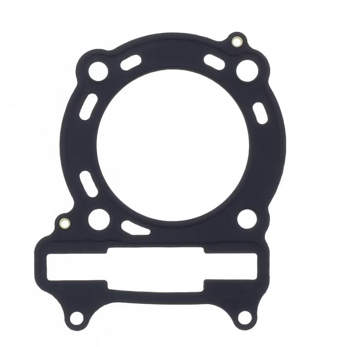 GUARNIZIONE TESTA PEOPLE S 250 06-07