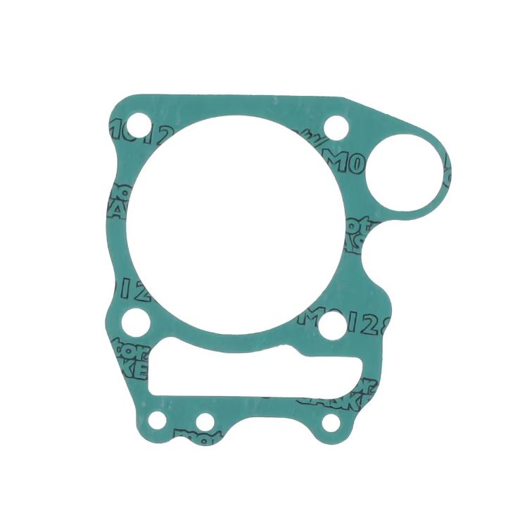 GUARNIZ BASE FES FORESIGHT 250 4T 98-01