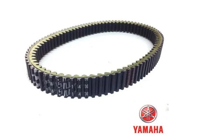 YABC3176410000 - CINGHIA