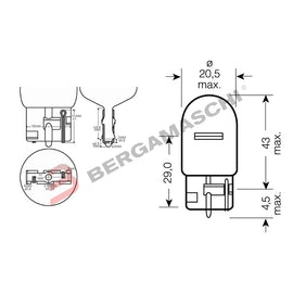 SCATOLA 10 LAMPADINE TV.12V 21W W3X16D