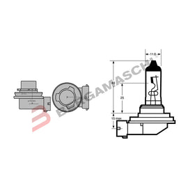 LAMPADINA H8 12V 35W ALOGENA PGJ19-1
