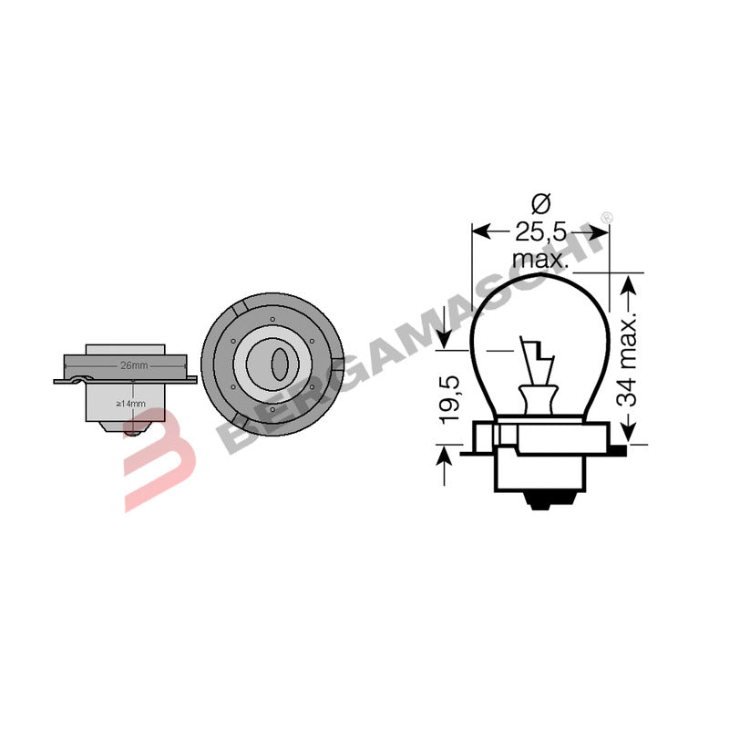 SCATOLA 10 LAMPADINE 12V 15W P26S