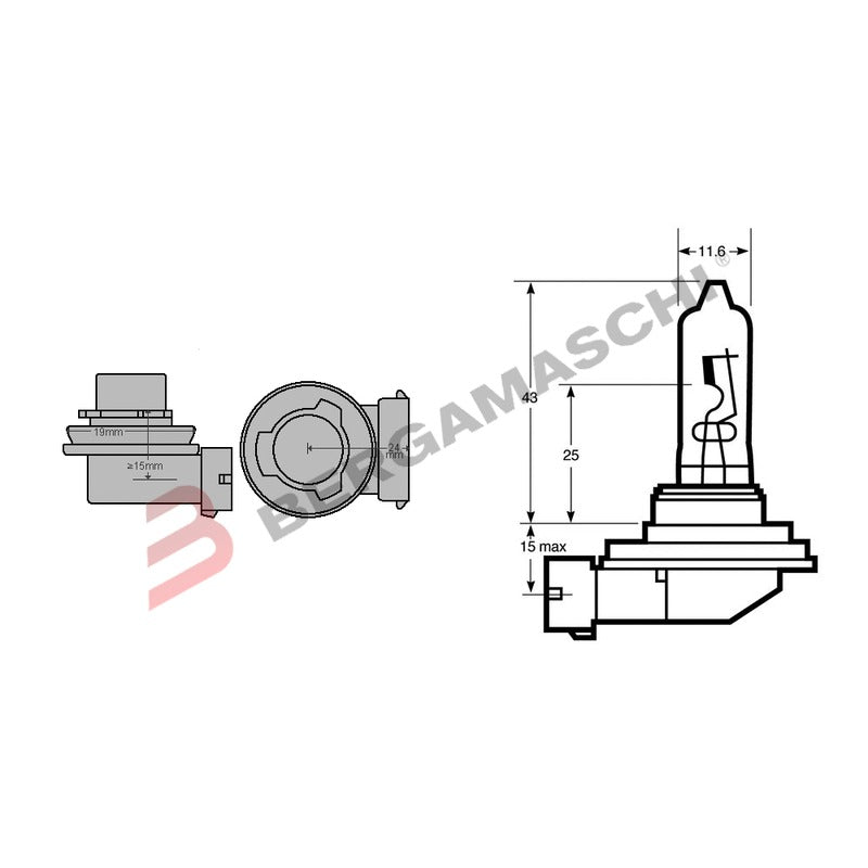 LAMPADINA H9 12V 65W ALOGENA PGJ19-5