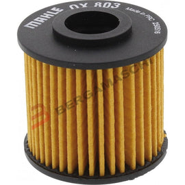 FILTRO OLIO PEGASO 650