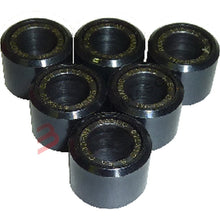 Carica l&#39;immagine nel visualizzatore di Gallery, G71601300416 - KIT 6 RULLI VARIATORE 16X13 4