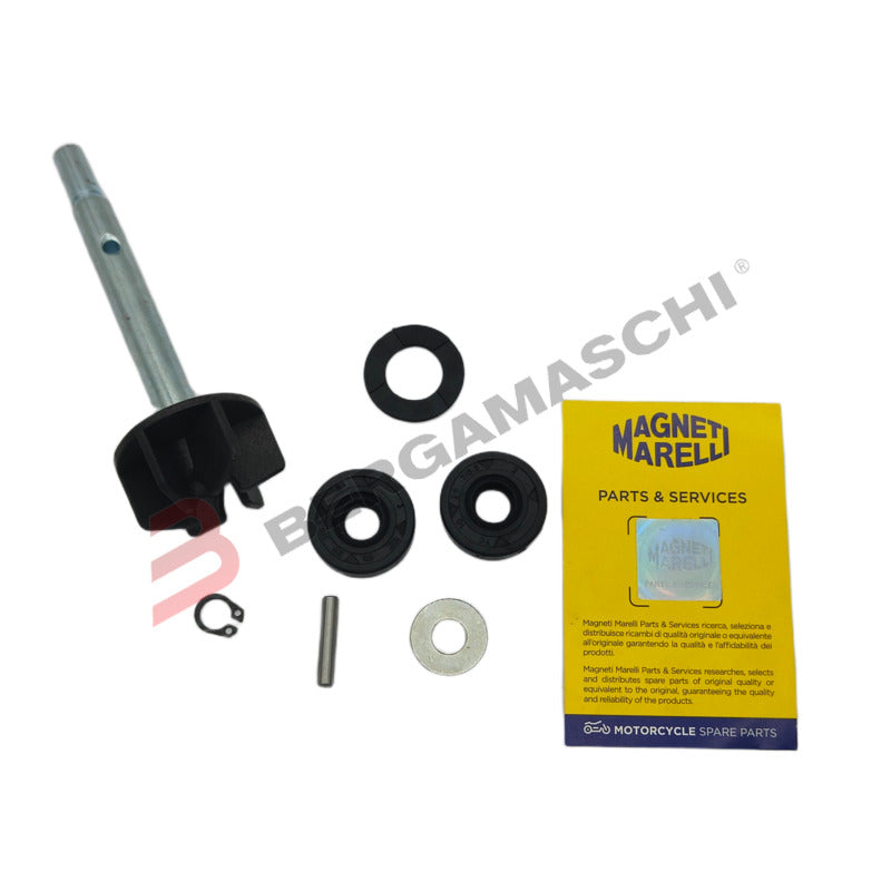 KIT REV POMPA ACQUA SCARABEO ROTAX