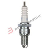 CANDELA BUR6ET STOCK NR.3172