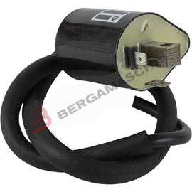 BOBINA AT YAMAHA TDM 850