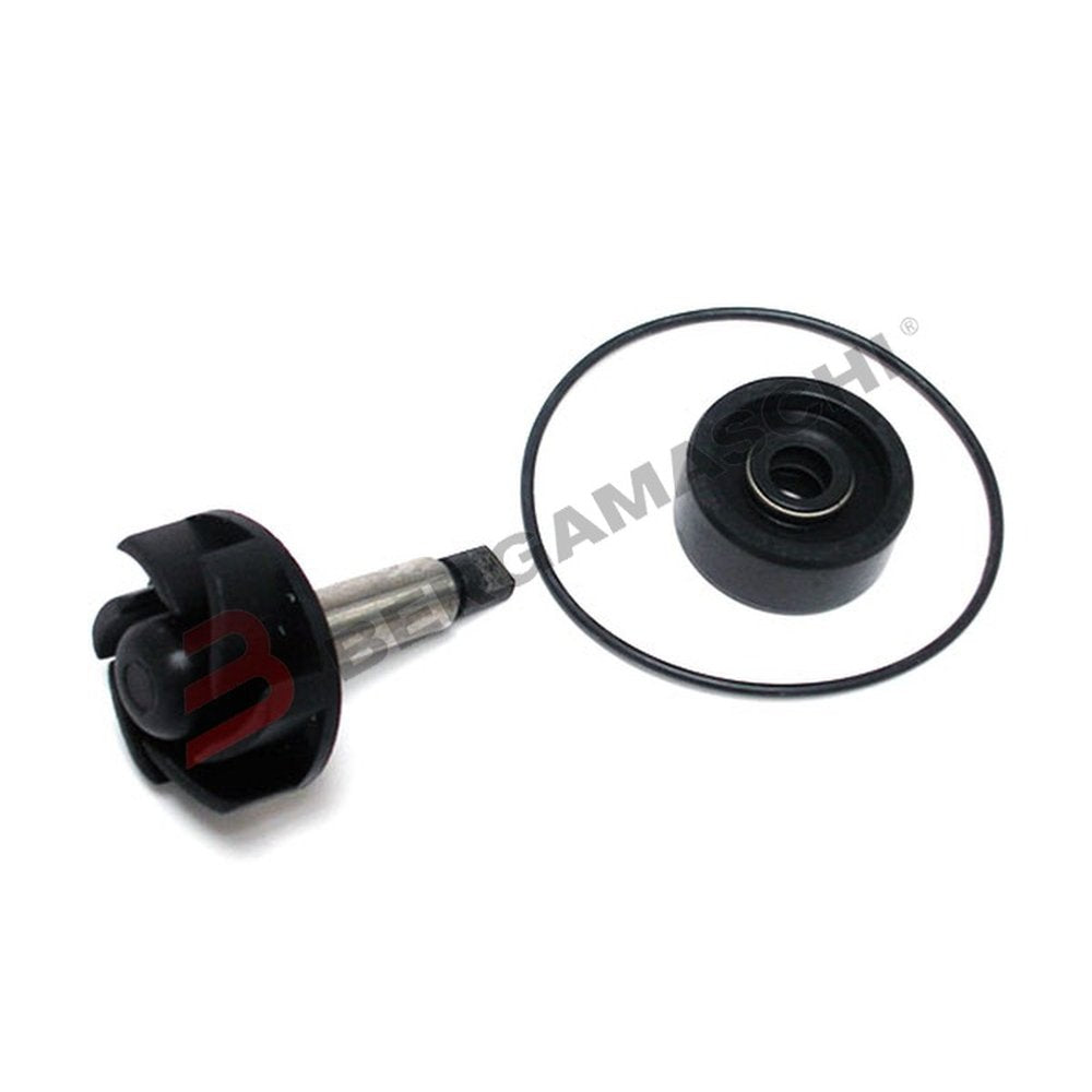 KIT REV POMPA ACQUA MAJESTY 125-150