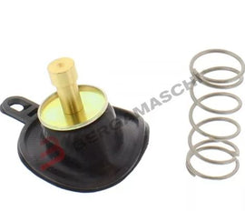 MEMBRANA CARBUR MONSTER 600/750/900