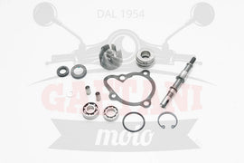 KIT REV POMPA ACQUA KYMCO DINK 250 4T