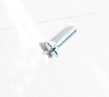 Carica l&#39;immagine nel visualizzatore di Gallery, VITE TGS 4X12 LAMBRETTA