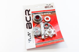 KIT REVISIONE POMPA ACQUA PCX 125