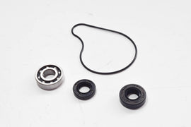 KIT REV POMPA ACQUA WR 250 F 01-14