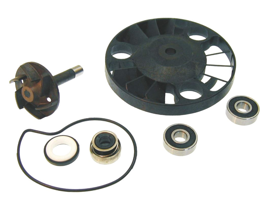 KIT REV POMPA ACQUA BEVERLY 125 01-03