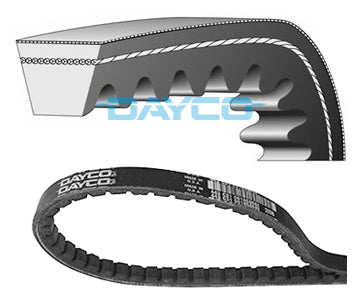 CINGHIA X TRASFORM CIAO-CIAO PX S/VARIAT