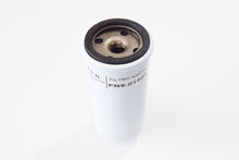 Carica l&#39;immagine nel visualizzatore di Gallery, FILTRO NAFTA RUGGERINI SLANZI
