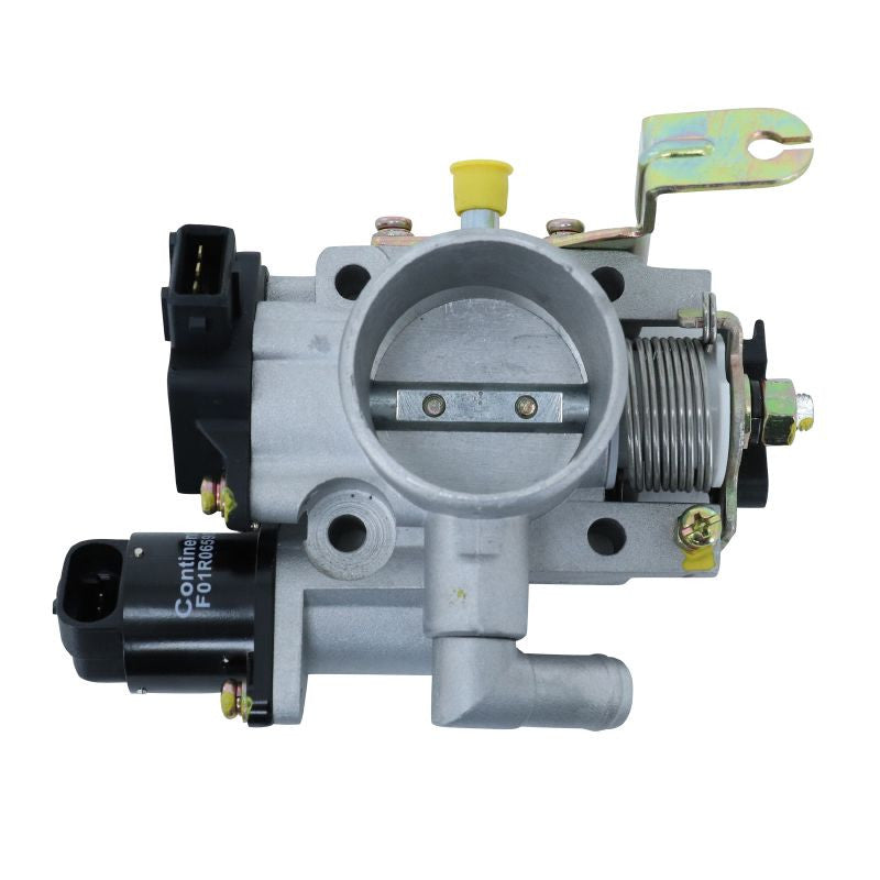 PIB010160 - CORPO FARFALLATO