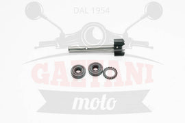 KIT REVISIONE P/ACQUA LEONARDO 125/150