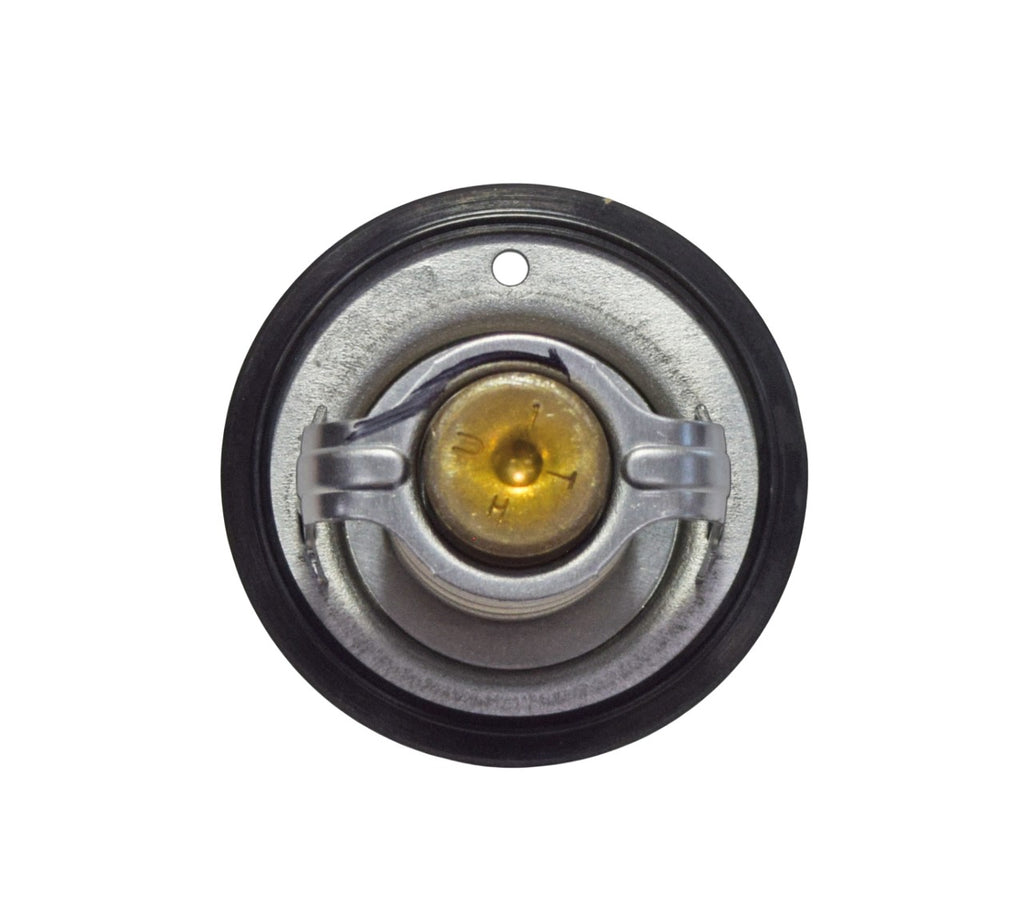 TERMOSTATO T-MAX 500 01-03