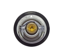 Carica l&#39;immagine nel visualizzatore di Gallery, TERMOSTATO T-MAX 500 01-03