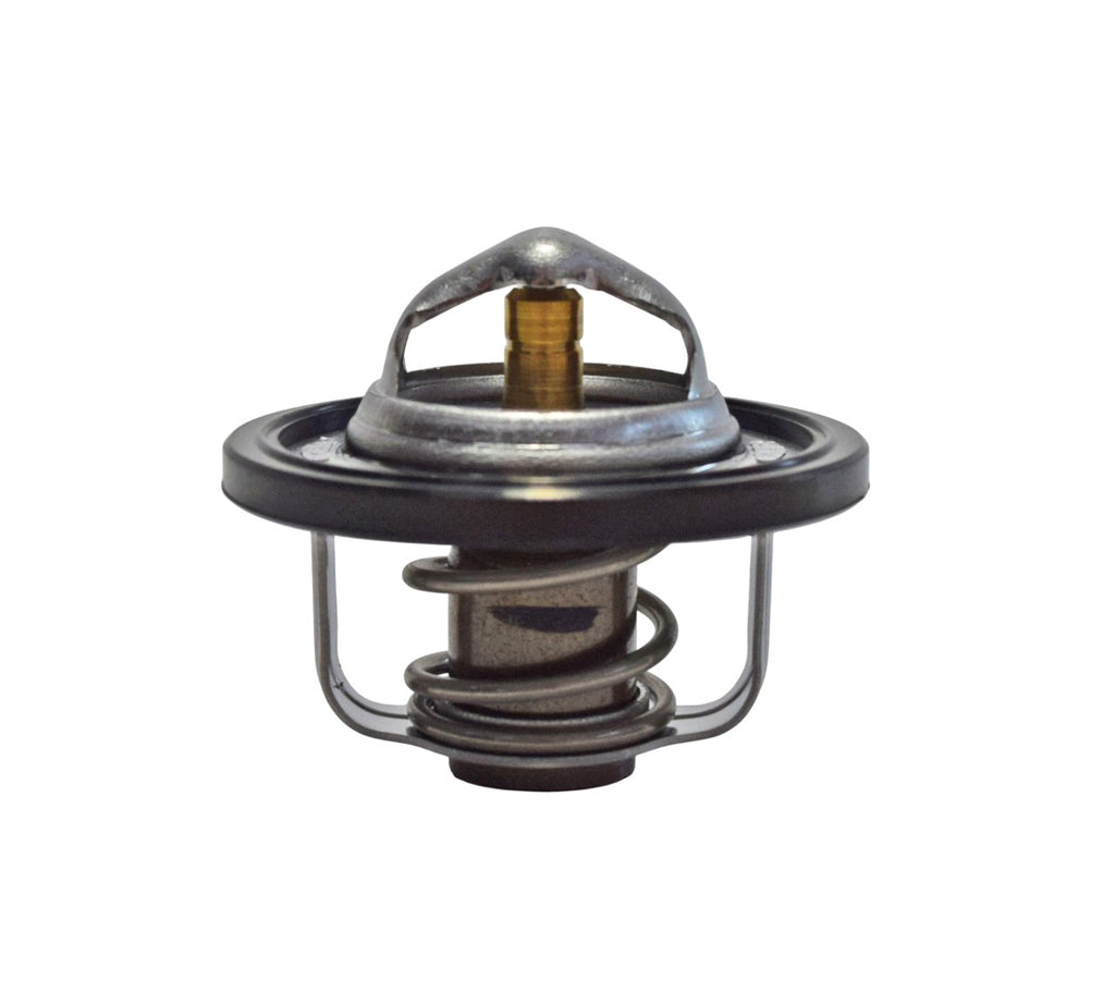 TERMOSTATO T-MAX 500 01-03