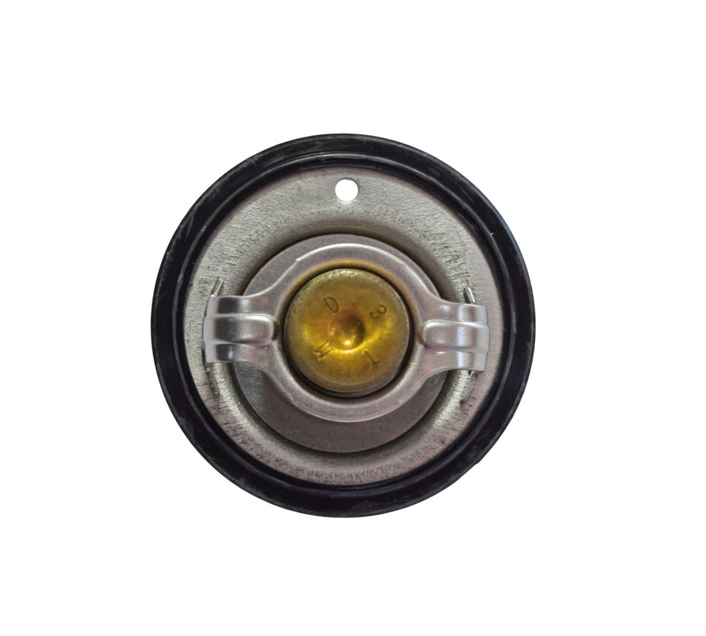 TERMOSTATO T-MAX 500 04-11